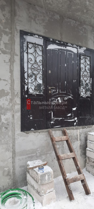 Фото двери №100