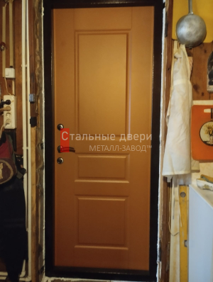 Фото двери №364