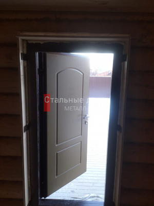 Фото двери №138