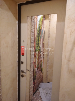 Фото двери №95