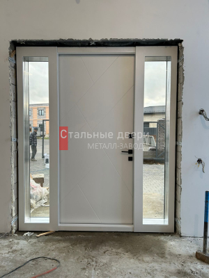 Фото двери №339